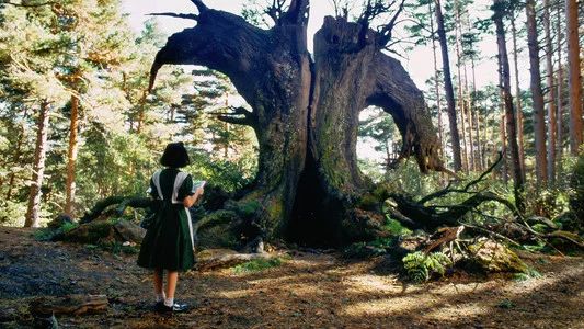 Foto de El laberinto del fauno