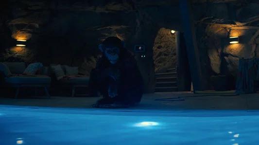 Foto de Primate