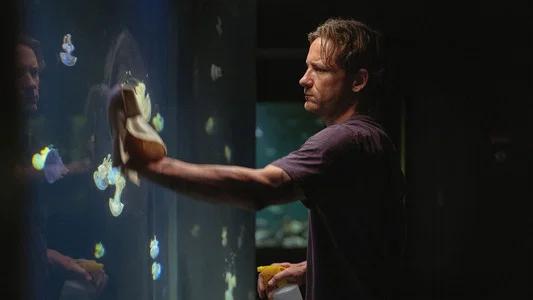 Foto de Criaturas luminosas