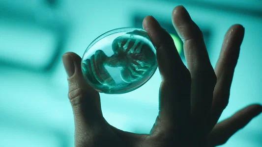 Foto de Alien: Covenant