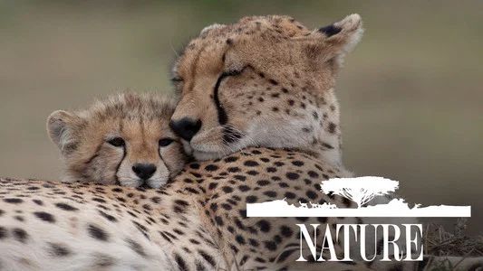 Foto de Nature