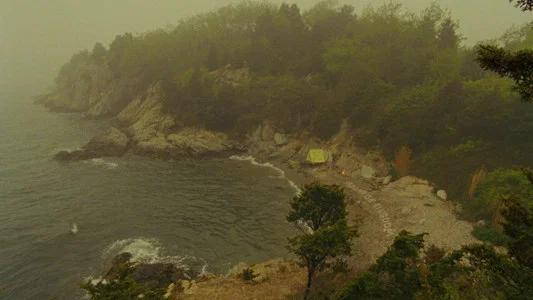 Foto de Moonrise Kingdom: Amor Infantil