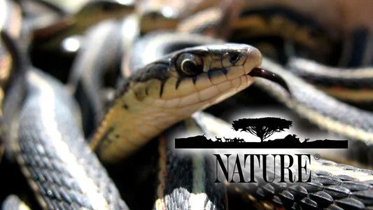 Foto de Nature