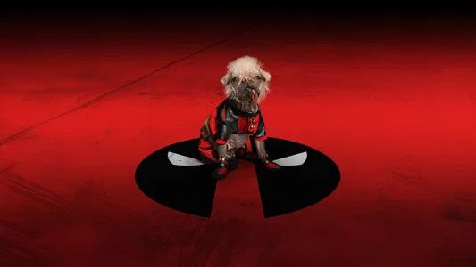 Foto de Deadpool & Wolverine