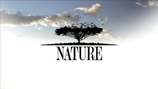 Foto de Nature