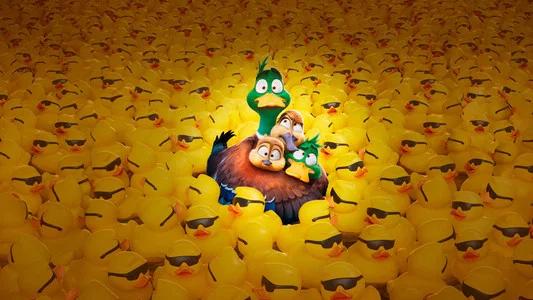 Foto de ¡Patos!