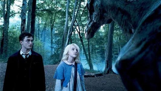 Foto de Harry Potter y la orden del Fénix