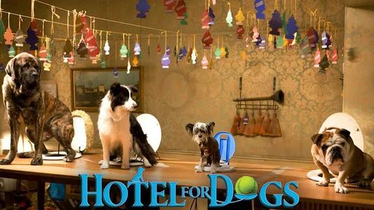 Foto de Hotel para Perros