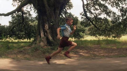 Foto de Forrest Gump
