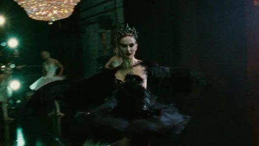 Foto de El cisne negro