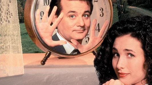 Foto de El día de la marmota