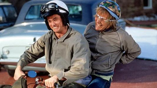Foto de Una pareja de idiotas