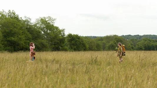 Foto de Moonrise Kingdom: Amor Infantil