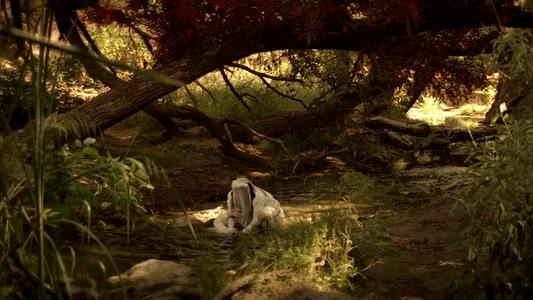 Foto de La maldición de La Llorona