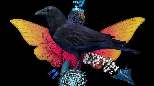 Foto de The Nature of Things