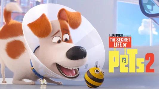 Foto de La Vida Secreta De Tus Mascotas 2