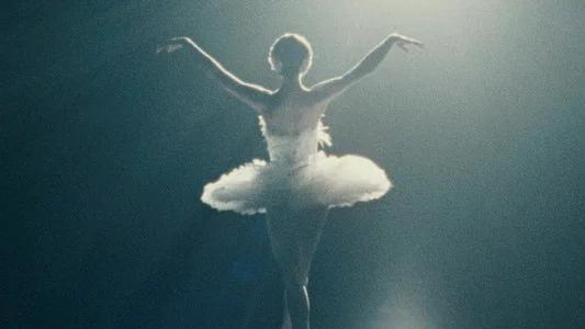 Foto de El cisne negro