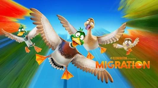 Foto de ¡Patos!