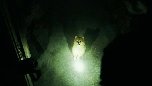 Foto de IT: Capítulo 2