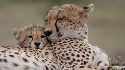 Foto de Nature