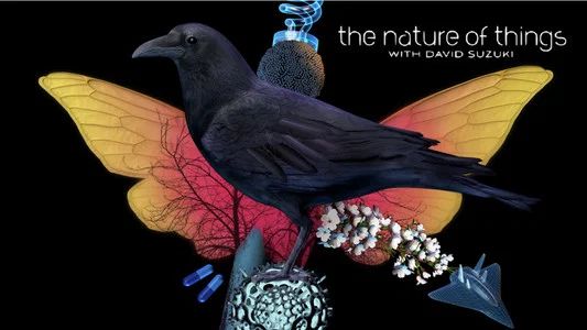 Foto de The Nature of Things