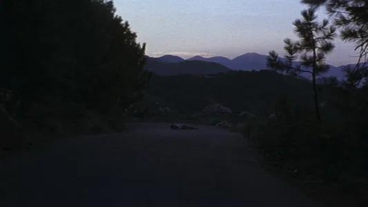 Foto de Donnie Darko
