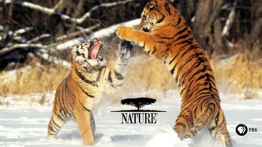 Foto de Nature