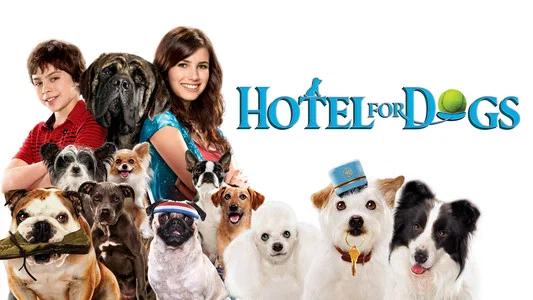 Foto de Hotel para Perros