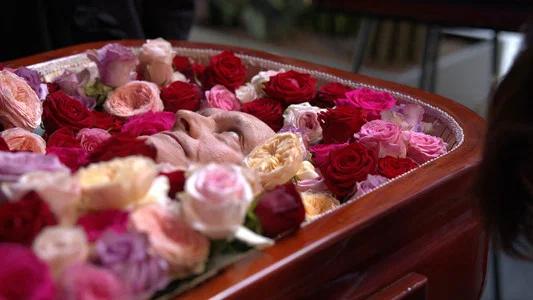 Foto de Rosebush Pruning