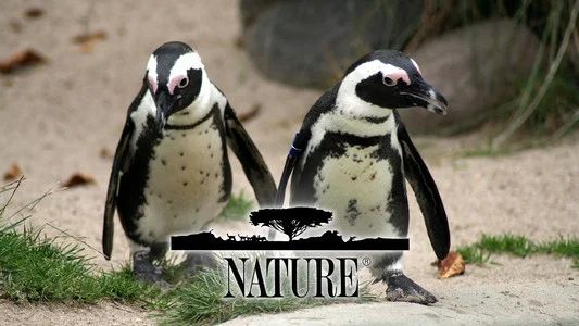 Foto de Nature