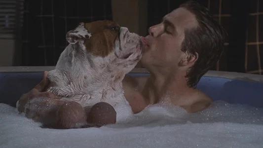Foto de Van Wilder: Fiesta Salvaje