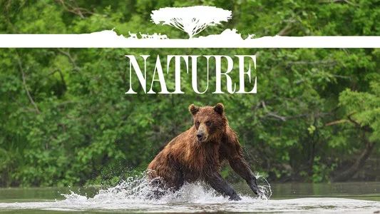 Foto de Nature