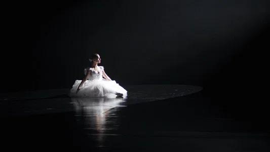 Foto de El cisne negro