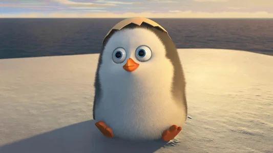 Foto de Los Pingüinos de Madagascar