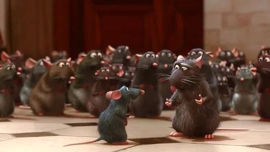 Foto de Ratatouille