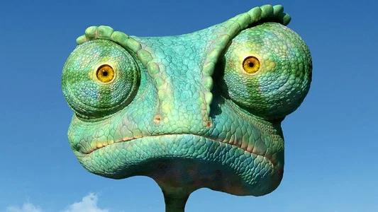 Foto de Rango