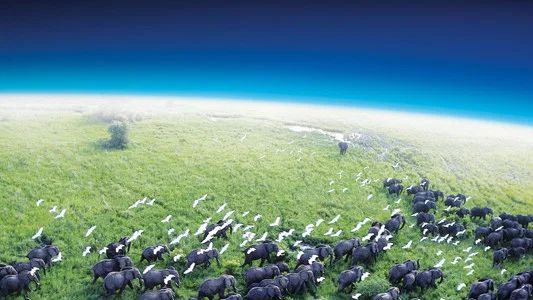 Foto de Planeta Tierra