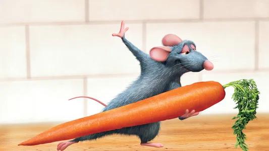 Foto de Ratatouille