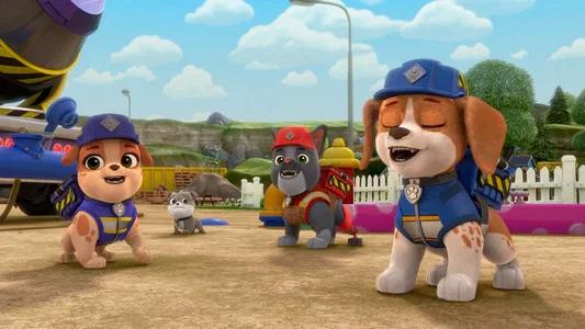 Foto de Rubble y Equipo