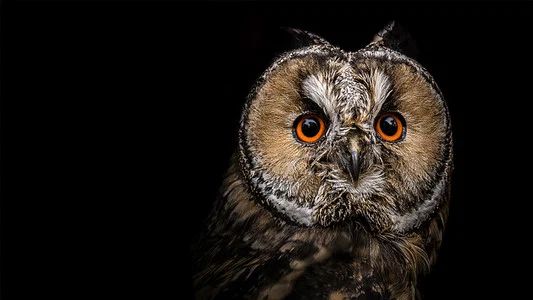 Foto de Natural World