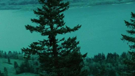 Foto de Crepúsculo
