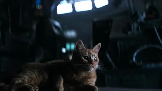 Foto de Alien: El Octavo Pasajero