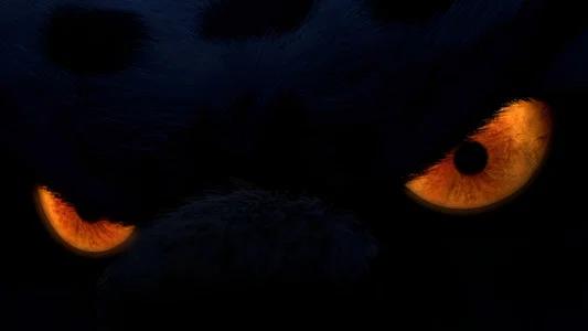 Foto de Kung Fu Panda