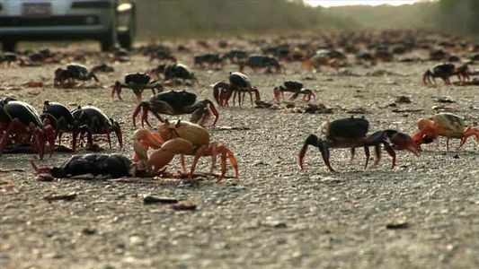Foto de mare TV