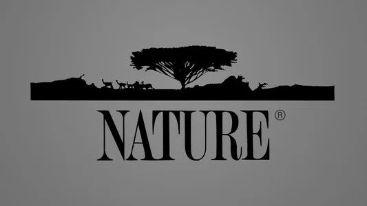 Foto de Nature