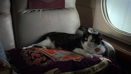 Foto de El Diario De La Princesa