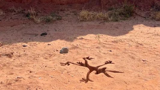 Foto de Coyote vs. Acme