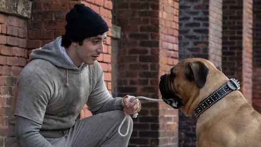 Foto de Yo Soy Rocky