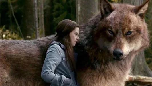 Foto de Crepúsculo