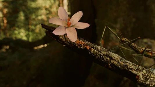 Foto de El laberinto del fauno